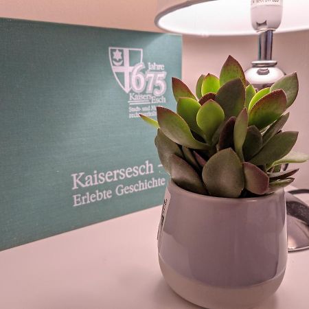 Ferienwohnung Am Waldweg Kaisersesch Ngoại thất bức ảnh