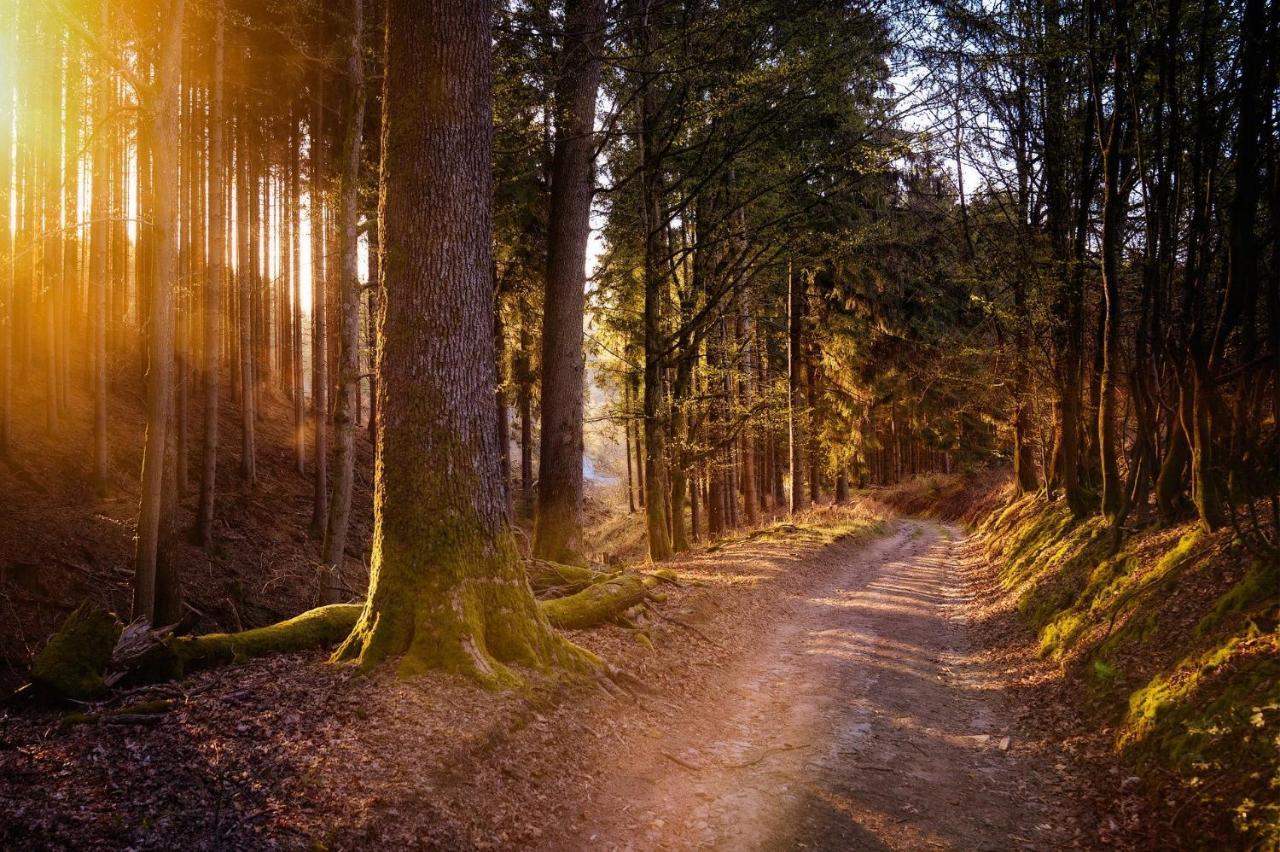 Ferienwohnung Am Waldweg Kaisersesch Ngoại thất bức ảnh